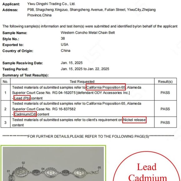 Western Metal Concho Belt for Women Cowgirl Chain Belts for Dresses Jeans Countr - Picture 2 of 9